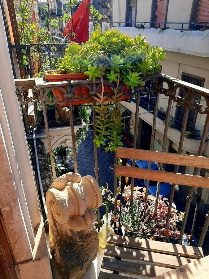 קטאניה Bellini Apartment מראה חיצוני תמונה