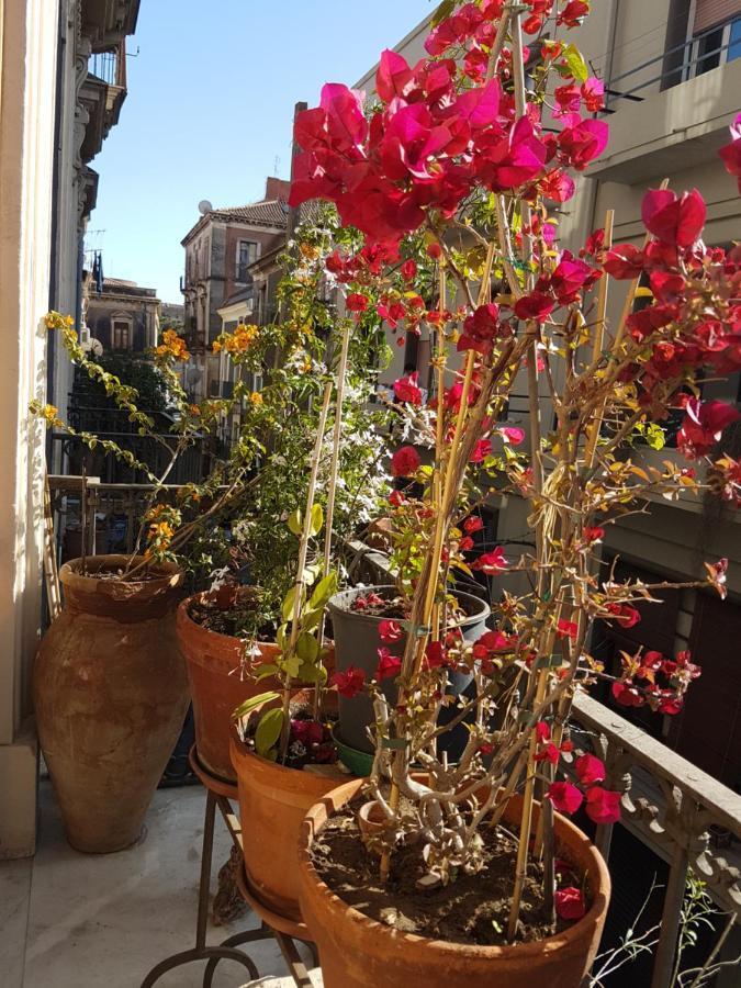 קטאניה Bellini Apartment מראה חיצוני תמונה